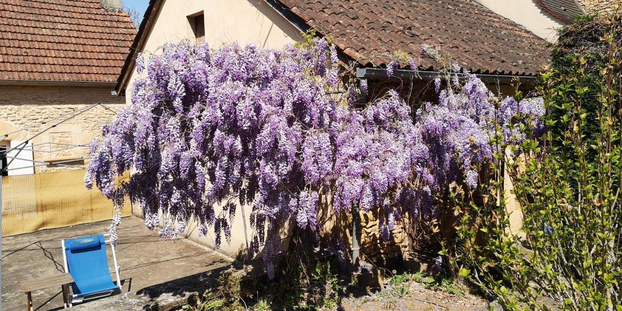 Gite Du Bouyssou Carsac-Aillac Exterior foto